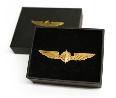 Pilot Wings - Pin, gold-coloured