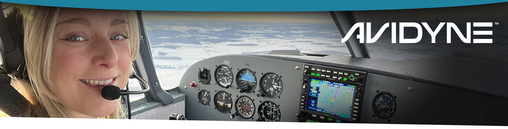 Avidyne Avidyne